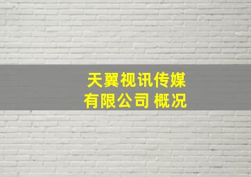 天翼视讯传媒有限公司 概况